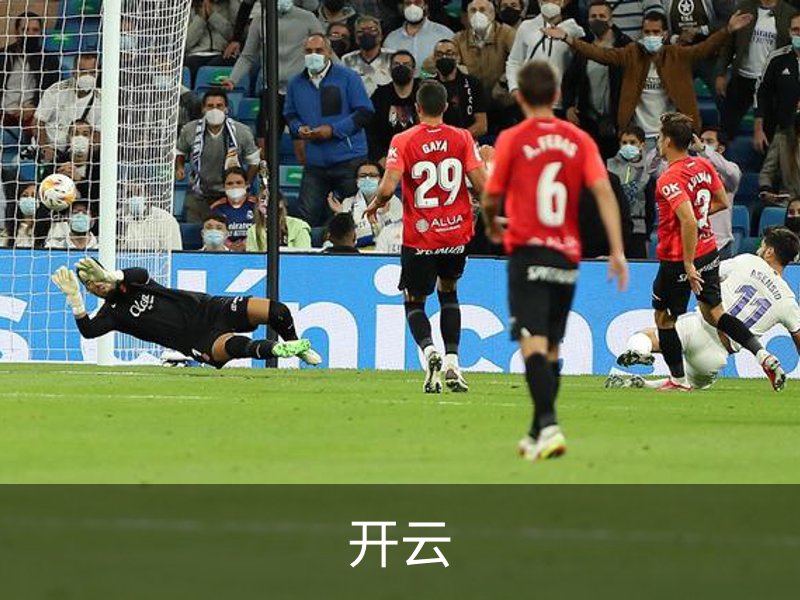 开云简介